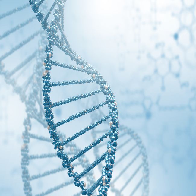 DNA veranderen samenwerking tussen eiwitten